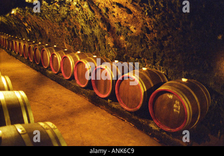 Oremus Weingut in Tolcsva, Tokaj: die unterirdische Keller geschnitzt in das vulkanische Gestein mit langen Tunneln mit Reihen von Fässern Tokajer Wein Stockfoto