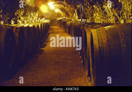 Die Royal Tokaji Wine Company in Mad: der Weinkeller mit langen Tunneln mit Holzfässern mit alternden Tokajer Wein gefüllt. Stockfoto