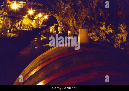 Die Royal Tokaji Wine Company in Mad: der Weinkeller mit langen Tunneln mit Holzfässern mit alternden Tokajer Wein gefüllt. Stockfoto