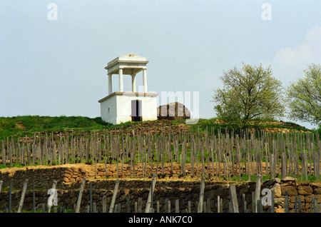 Das Disznoko Weingut in Tokaj: Weinberg, einen Wachturm und die Felsen, die auf dem Anwesen seinen Namen gegeben hat (Disznoko bedeutet "Schweinekopf" und der Felsen angeblich sieht aus wie einer). Stockfoto