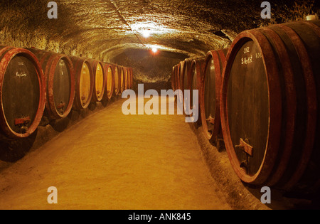 Das Weingut Thummerer in Eger: die unterirdischen Keller-Tunnel mit Reihen von Fässern mit dem Altern Wein. Stockfoto