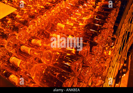 Im Inneren das Weingut Oremus in Tolcsva, Tokaj: in der Flasche Lagerraum, Tausende von Flaschen mit Tokajer Wein Altern und glühende üppigen goldenen im Licht. Stockfoto