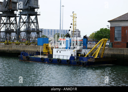 UKD SEA LION Stockfoto