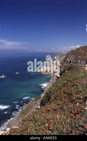 Portugal, Cabo da roca Stockfoto
