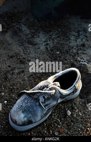 Schuh mit Frost drauf, erhöhte Ansicht Stockfoto