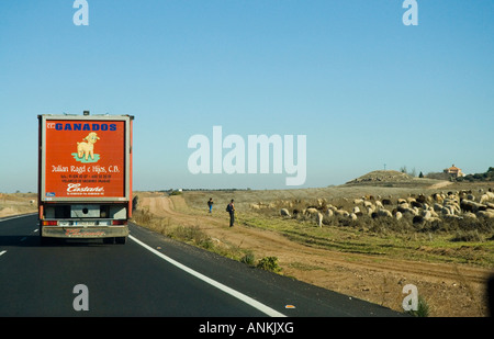 Schaf-Transport im Alcazar de San Juan, Spanien Stockfoto