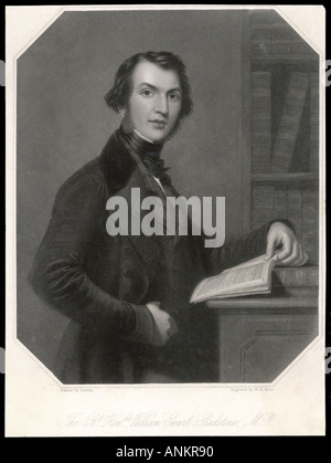 Gladstone Severn Stockfoto