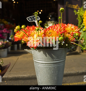 London Borough Markt Blumengeschäft Stockfoto