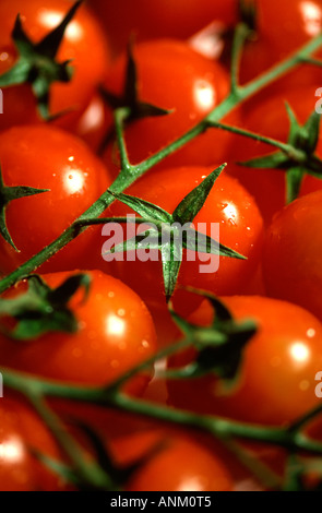Cherry-Tomaten am Rebstock Stockfoto