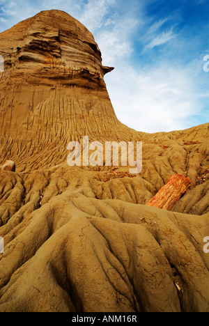 Der versteinerte Wald "José Ormachea', Sarmiento, Provinz, Chubut, Patagonien, Argentinien, Südamerika Stockfoto