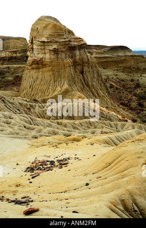Der versteinerte Wald "José Ormachea', Sarmiento, Provinz, Chubut, Patagonien, Argentinien, Südamerika Stockfoto