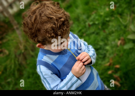 Kleiner Junge gekleidet in blau, weht Löwenzahn Uhren im Garten Stockfoto