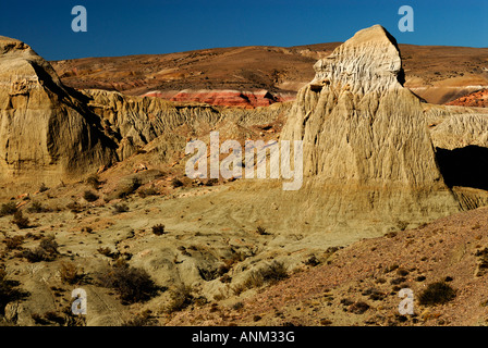 Der versteinerte Wald "José Ormachea', Sarmiento, Provinz, Chubut, Patagonien, Argentinien, Südamerika Stockfoto
