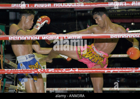 Thai-Boxen Lumphini Stadion Bangkok Thailand Stockfoto