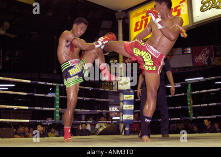 Thai-Boxen Lumphini Stadion Bangkok Thailand Stockfoto