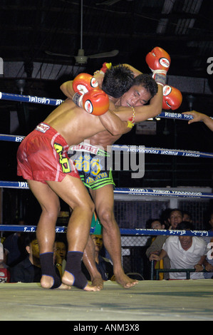 Thai-Boxen Lumphini Stadion Bangkok Thailand Stockfoto