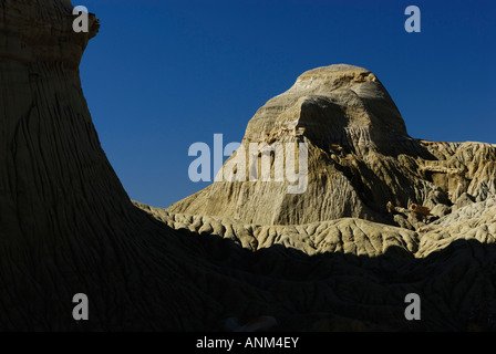Der versteinerte Wald "José Ormachea', Sarmiento, Provinz, Chubut, Patagonien, Argentinien, Südamerika Stockfoto