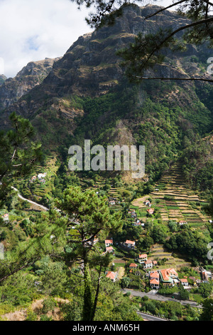 Blick über Tal in der Nähe von Serra de Agua, Madeira Portugal Stockfoto