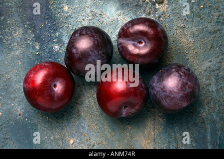 Pflaumen auf einem rustikalen blauen Hintergrund. Stockfoto