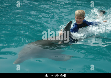 Junge und Delphin. Stockfoto