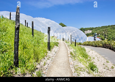 Der Prärie Abschnitt das Eden Project in Cornwall an einem hellen Sommertag. UK Stockfoto