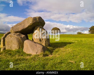 Dolmen grave, Riesen Ring, Lagan Valley, Belfast, Nordirland Stockfoto