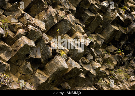 Vulkanische Basaltsäulen in Hljodaklettar Vesturdalur Jokulsargljufur Nationalpark Island Stockfoto