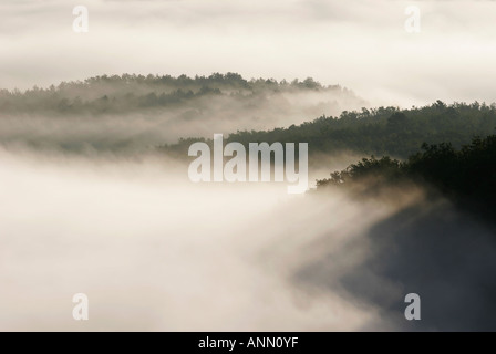 Licht im Nebel; am frühen Morgen Landschaft Stockfoto