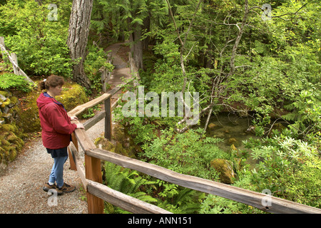 Frau in rot Jacke auf Leiter Creek fällt Trail Newhalem Seattle City Light Firma Ross Lake National Recreation Area Stockfoto