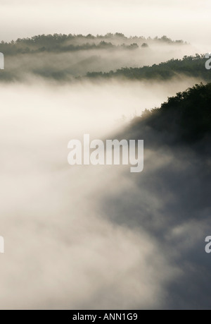 Am frühen Morgen Landschaft des Tals Nebel Stockfoto
