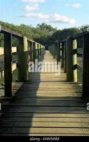 Hölzerne Brücke über den Fluss Waitangi, Nordinsel, Neuseeland Stockfoto