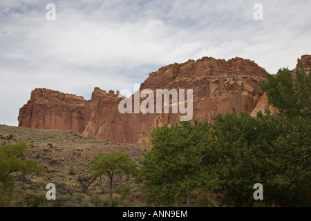 Genial aus rotem Sandstein, die Felswände im Capitol Reef National Park, Utah, USA Stockfoto