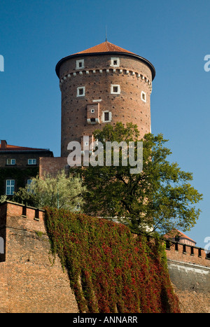 Sandomierz-Turm. Einer der drei Wawel Verteidigungstürme. Krakau, Polen, EU. Stockfoto