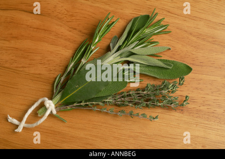 Bouquet Garni von frischen Kräutern, Rosmarin Thymian Salbei und Lorbeer Stockfoto