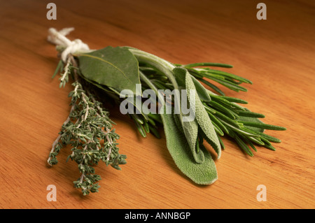 Bouquet Garni von frischen Kräutern, Rosmarin Thymian Salbei und Lorbeer Stockfoto