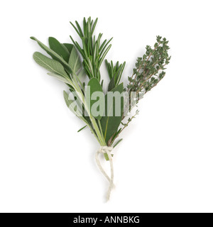 Bouquet Garni von frischen Kräutern, Rosmarin Thymian Salbei und Lorbeer Stockfoto