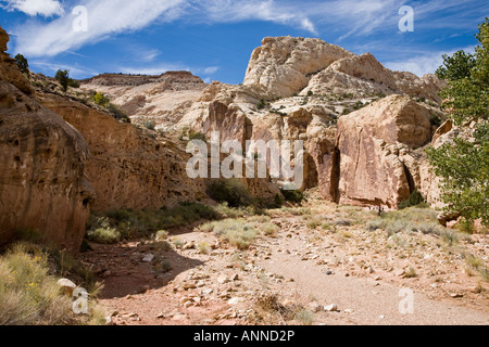 Genial aus rotem Sandstein, die Felswände im Capitol Reef National Park, Utah, USA Stockfoto