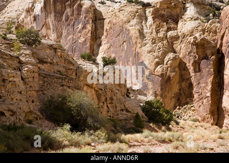 Genial aus rotem Sandstein, die Felswände im Capitol Reef National Park, Utah, USA Stockfoto