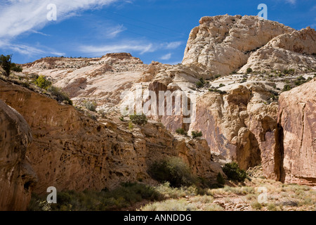 Genial aus rotem Sandstein, die Felswände im Capitol Reef National Park, Utah, USA Stockfoto