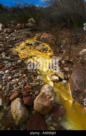 Mineral beladen Wasser fließt in Kwagunt Creek aus Nankoweap Butte in Grand-Canyon-Nationalpark im US-Bundesstaat Arizona Stockfoto