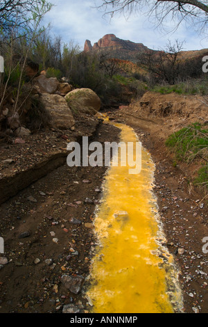 Mineral beladen Wasser fließt in Kwagunt Creek aus Nankoweap Butte in Grand-Canyon-Nationalpark im US-Bundesstaat Arizona Stockfoto