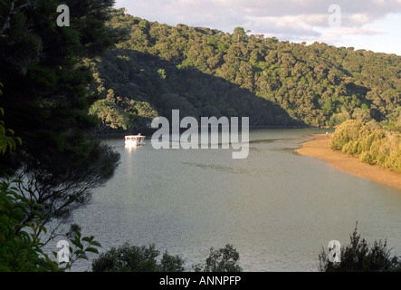 Ausflugsschiff auf Waitangi Fluss, Northland, Nordinsel, Neuseeland Stockfoto