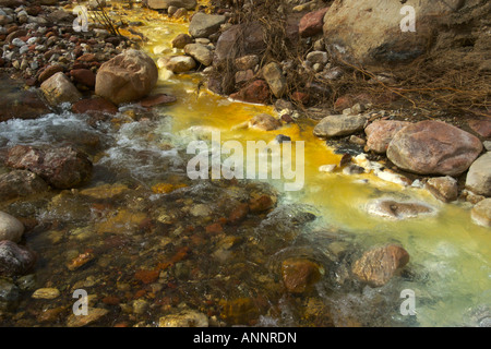 Mineral beladen Wasser fließt in Kwagunt Creek aus Nankoweap Butte in Grand-Canyon-Nationalpark im US-Bundesstaat Arizona Stockfoto