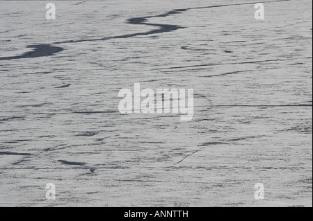 Zugefrorenen See, Nordarizona Stockfoto