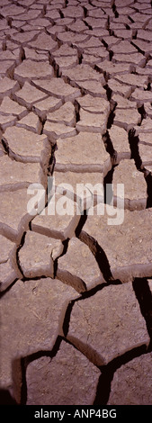 trockene rissige Flussbett, Udaipur See Stockfoto