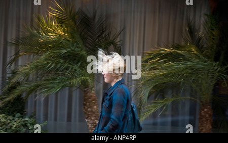 Winterwinde Birmingham getroffen, als ein Fußgänger vor dem Hintergrund der windgepeitschten Palmen vor einem Restaurant entlang geblasen wird Stockfoto
