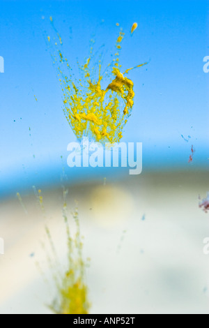 Tote Insekten sind während einer Fahrt über die Windschutzscheibe eines Autos bespritzt. Stockfoto