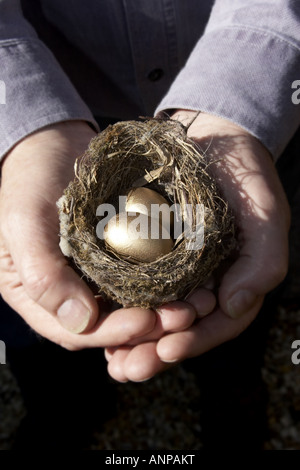 Einsparungen Notgroschen mit goldenen Eiern vertreten Ihre Ersparnisse pension zukünftigen Wohlstand Stockfoto