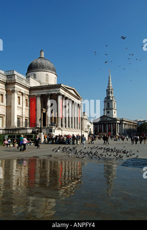 Trafalgar Square National Gallery Kunst Museum mit St Martins im Bereich Kirche jenseits nasser Fahrbahn folgenden nach Tauben London UK Stockfoto