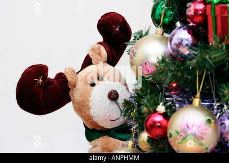 Ein Toy-Rentier, der hinter dem mit Baubeln dekorierten Weihnachtsbaum heraustritt Stockfoto